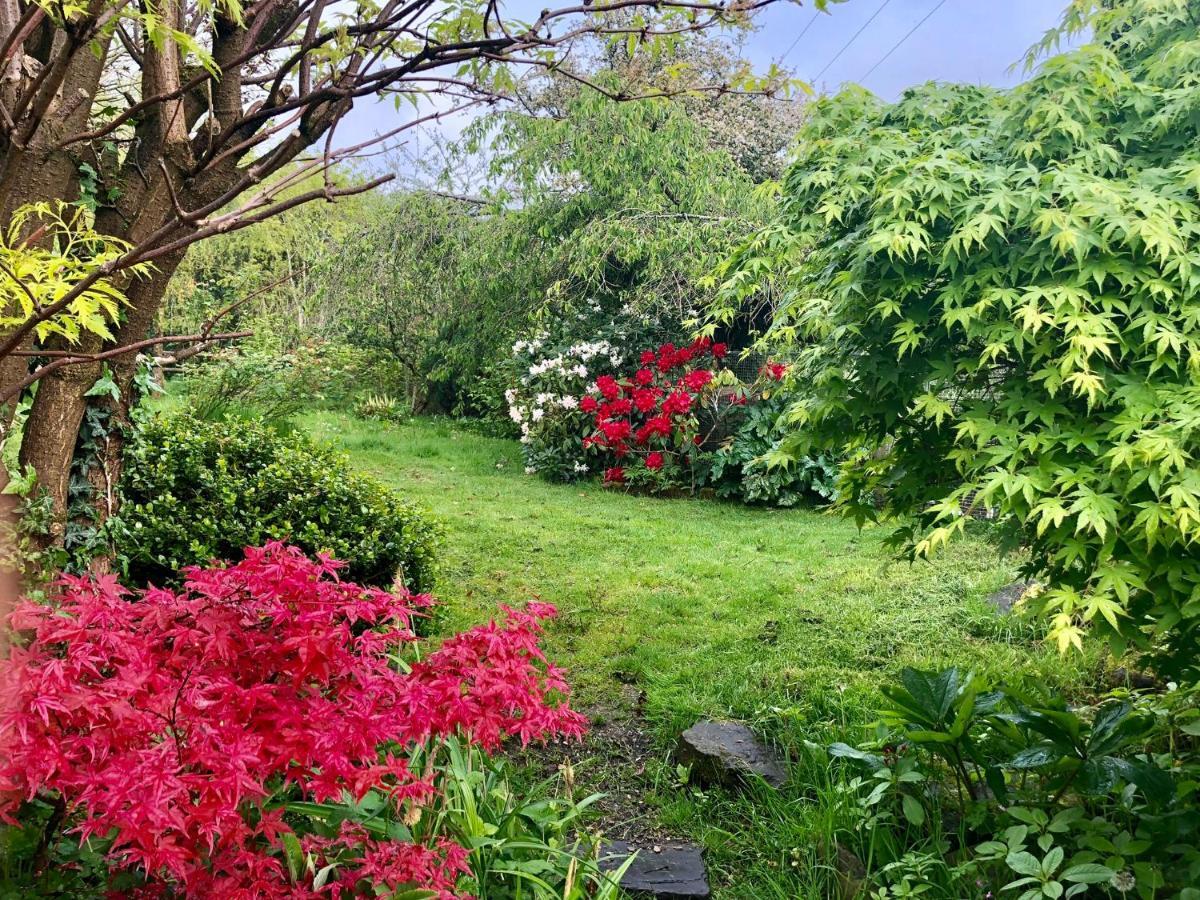 Cilffriw Farm Lägenhet Neath Exteriör bild